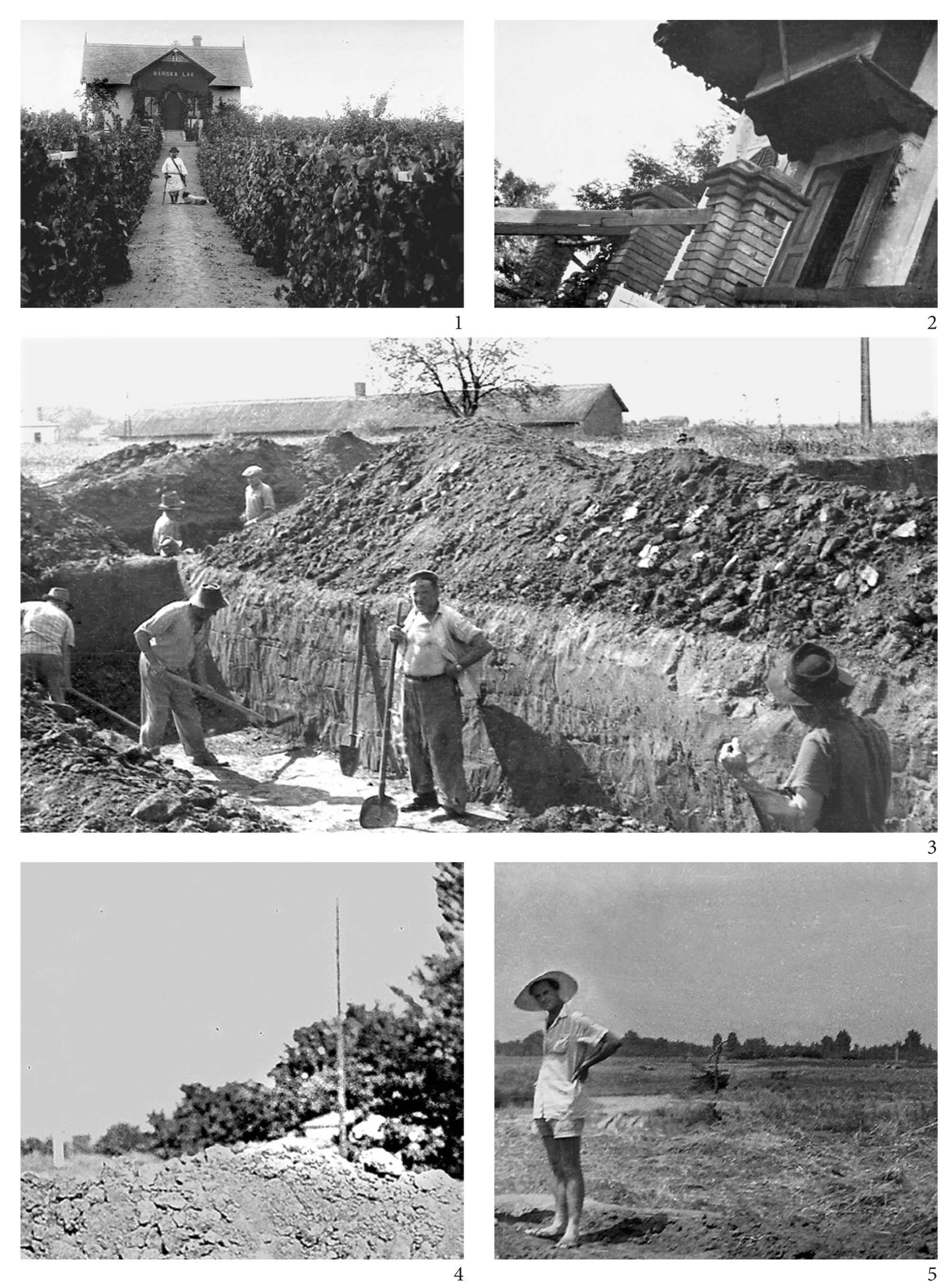 3. kép Hódmezővásárhely-Kishomok. Az 1966-1969 évi ásatás. 1: A vincellér–ház az 1900-as évek első felében (Plohn József felvétele); 2: a vincellér–ház 1967-ben; 3: 1966, a keleti oldal szelvényei. A kép előterében balról a második Matók István, aki Móra Ferenc mellett is dolgozott Kishomokon 1928-ban. 4: A vincellér–ház teteje az ásatás egyik északi szelvényéből; 5: Bóna István az ásatás déli szélénél (1967), háttérben a III. dűlő fasora. (Fotók 2-3, 5: Nagy Margit; 4: a 11. kép 4 részlete).