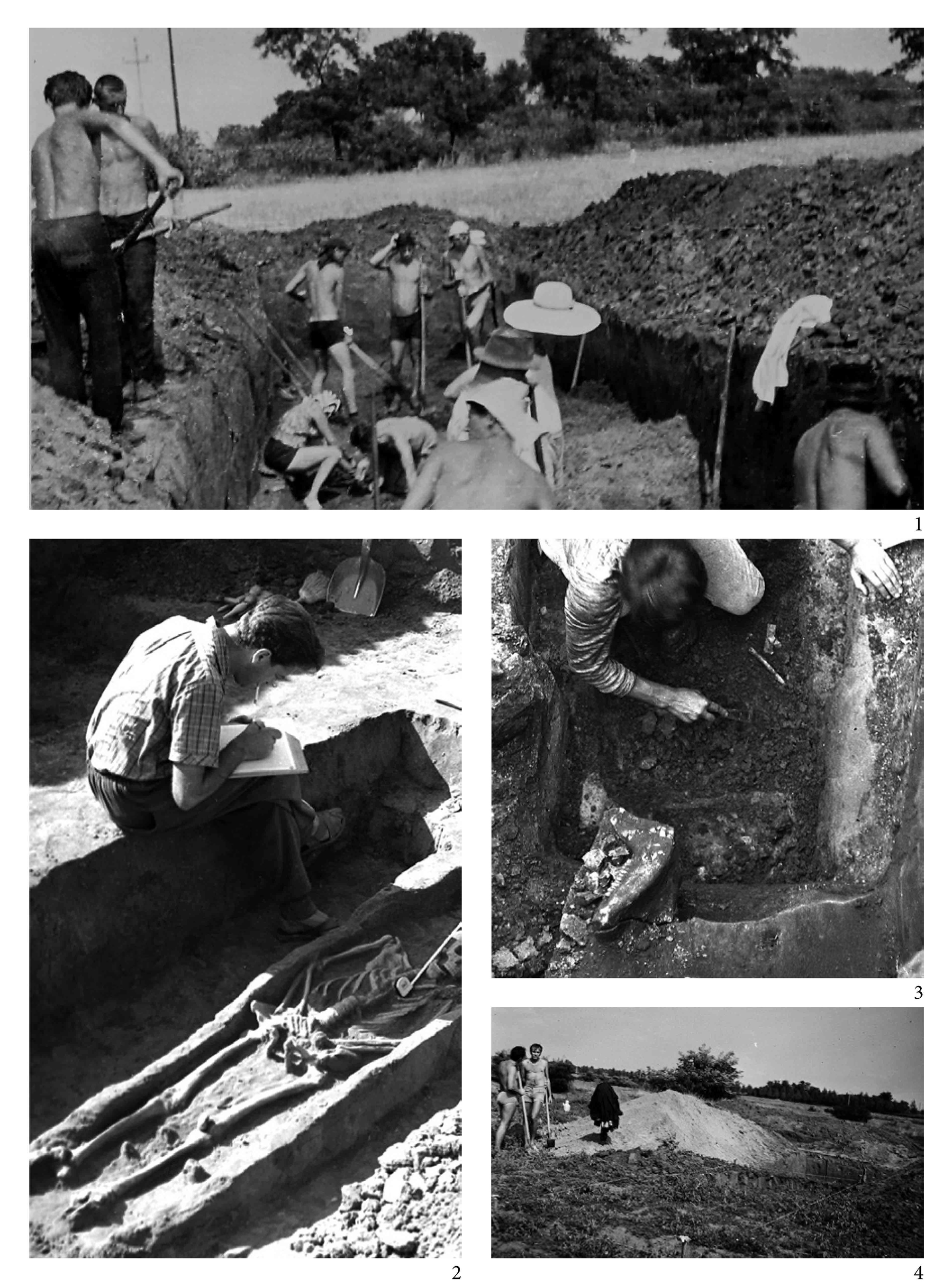4. kép Hódmezővásárhely-Kishomok. Az 1966-1969 évi ásatás. 1: 1967, a „kis” Kovács-tanya felé eső északkeleti szélső szelvény; 2: 1966, Bóna István a 62. sírt rajzolja; 3a-3b: Gömöri János egyetemi hallgató a 49. avar sír bontása közben 1966-ban; 4: 1969, a délnyugati oldal utolsó szelvényei.(Fotók 1-4: Nagy Margit.)